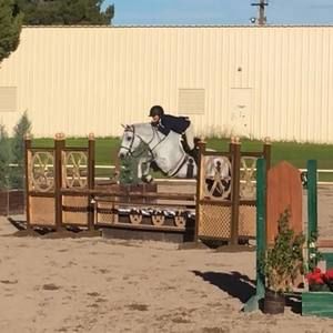 Meet your Posher, Annie